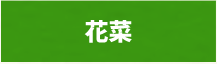 生産物：花菜